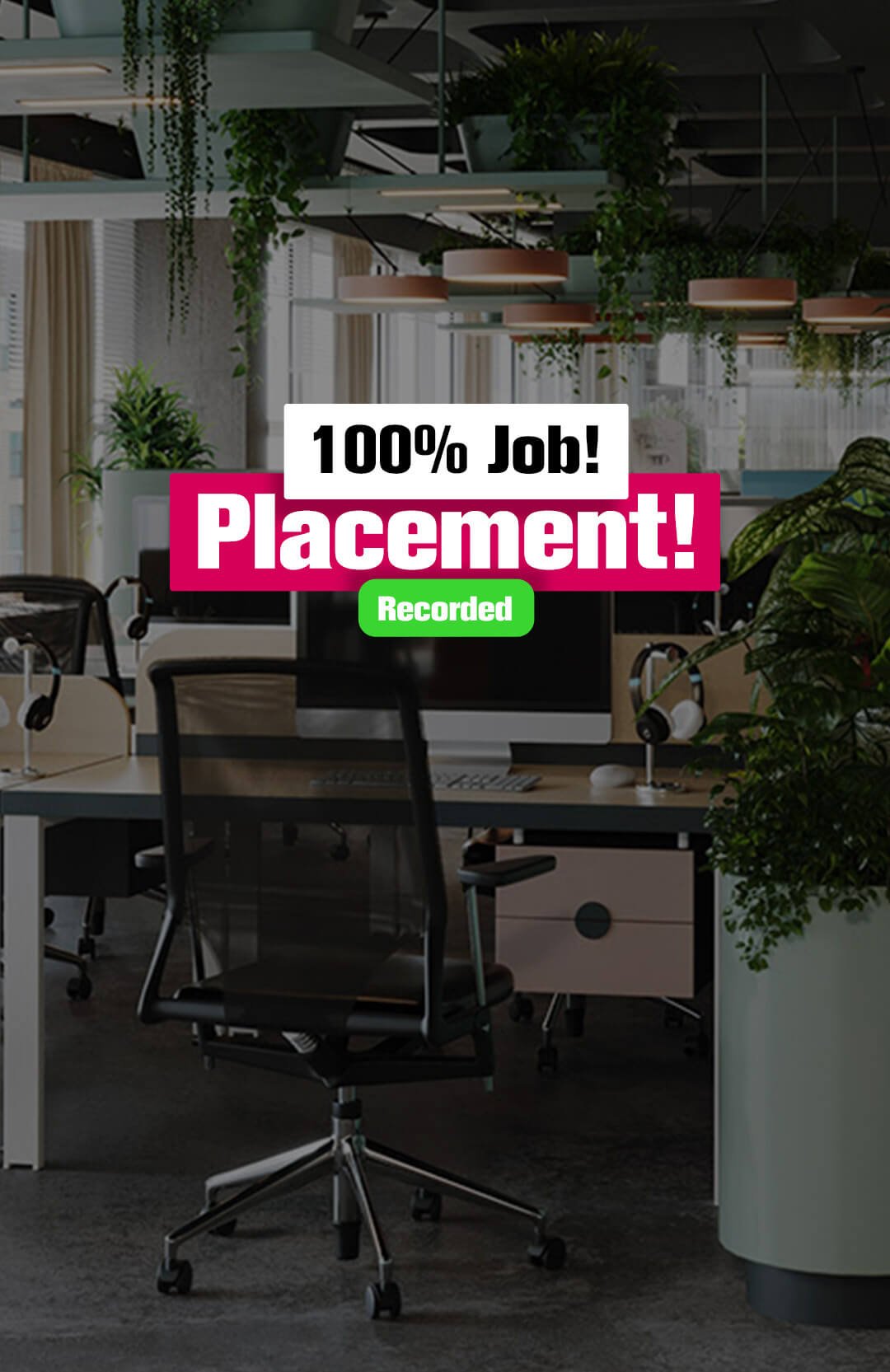 100% Job Placement